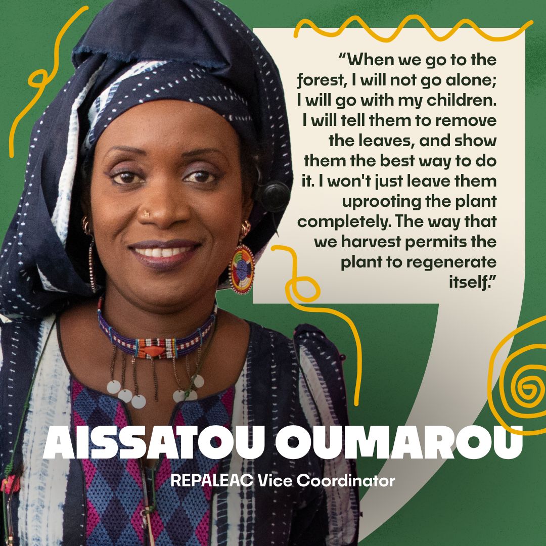 globalalliancet's tweet photo. In the latest #LandDialogue webinar on Gender, Biodiversity, and the Role of Women, Gloria, Josselyn, Aissatou, Sara and Cristiane highlighted the vital role of Indigenous women in #biodiversity and #climateaction... (1/3) https://t.co/sHckxMFtgz