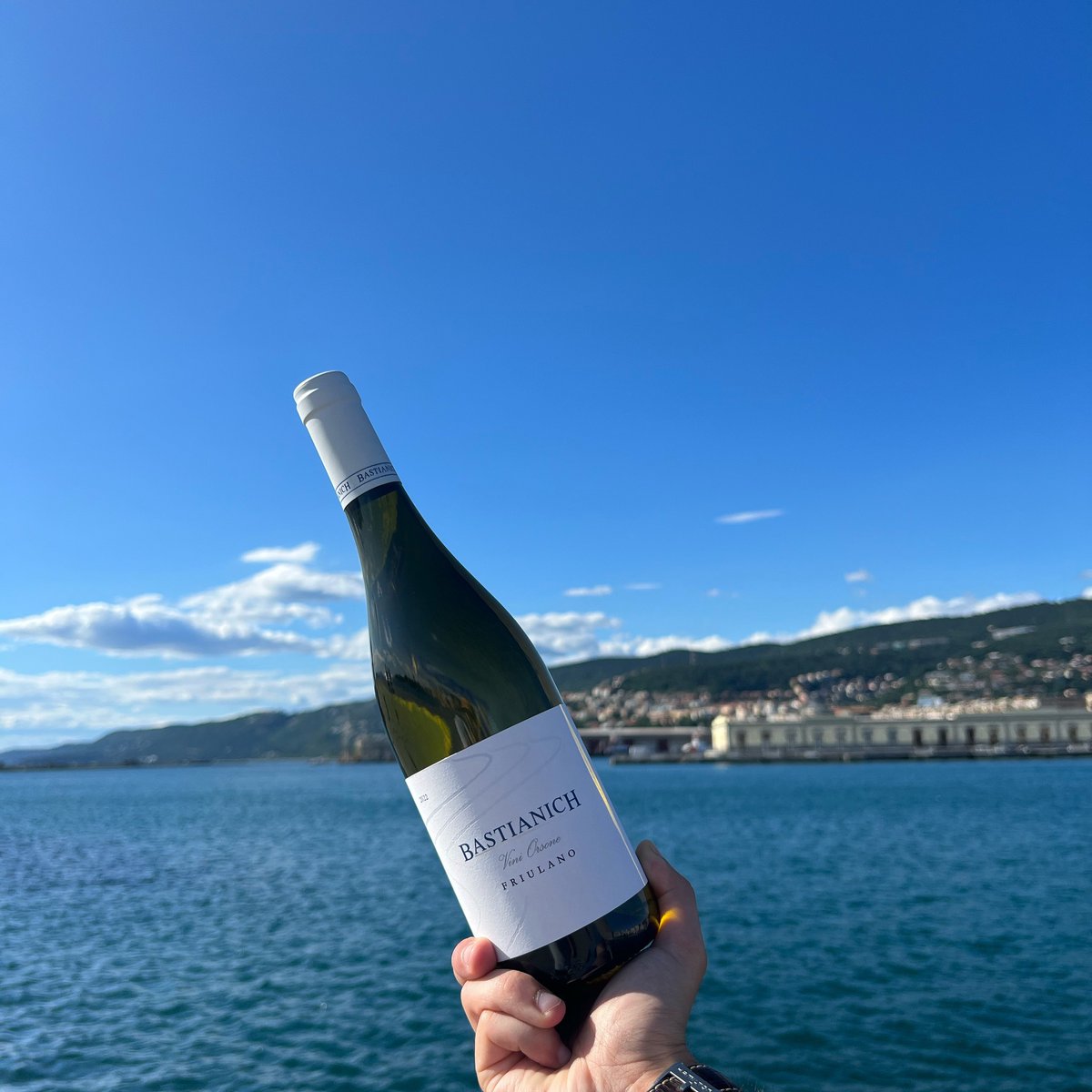 Il nostro #friulano si gode le bellezze della nostra regione.

#bastianich #bastianichwines #fvg #friuliveneziagiulia #trieste #wine #export