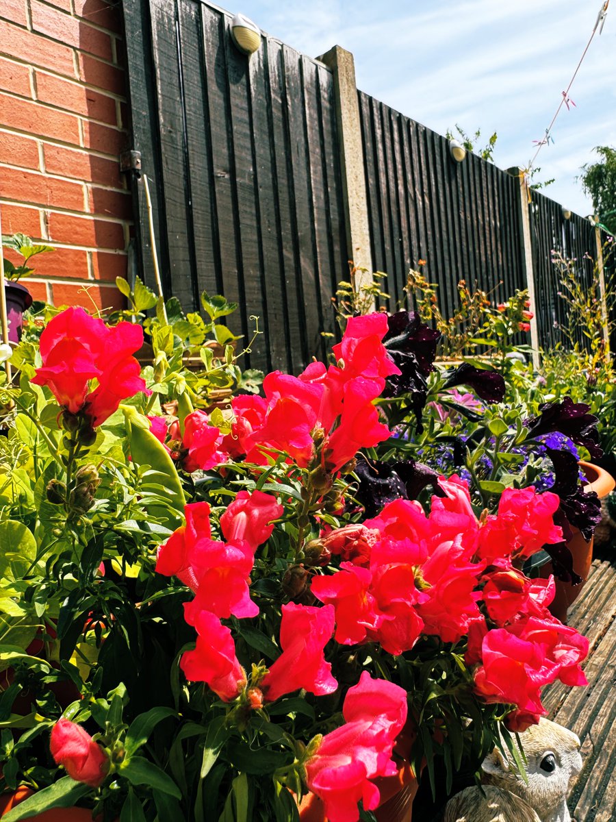 sarah smith smizz ✏️✏️✏️ スミッツ tweet media