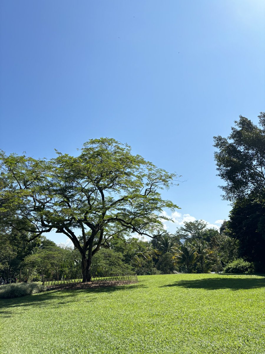 很美，很热，下次还来⛱️