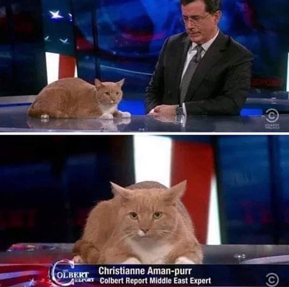 johnwrichcat's tweet photo. Thanks @colbertlateshow for having me on. The situation in the middle east is very complicated there are at least a couple different countries in there maybe more. https://t.co/s8govQZmMd