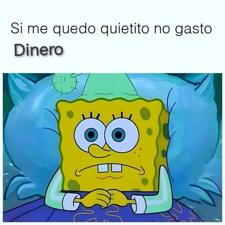 🤣🤣🤣🤣 yo a media quincena 🤪