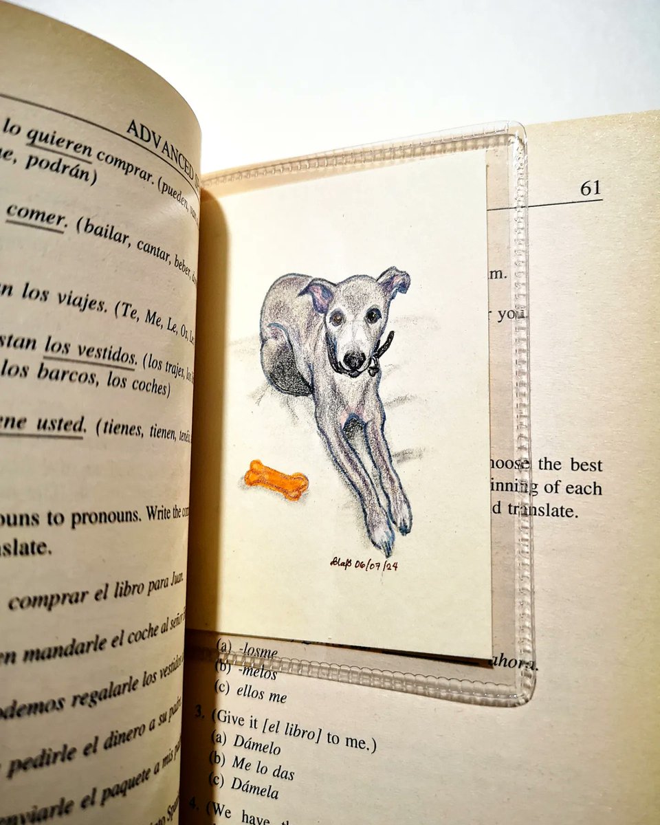bouncebckbelle's tweet photo. This is Paddy.
I had a pre-birthday giveaway here last month, &amp; the winner requested a portrait of this adorable doggo. Just got word that mini bookmark Paddy has already arrived in the UK. Happy days! 🩶
#MarjDrawsDogs #MarjDrawsPets https://t.co/XDB7EViWxn