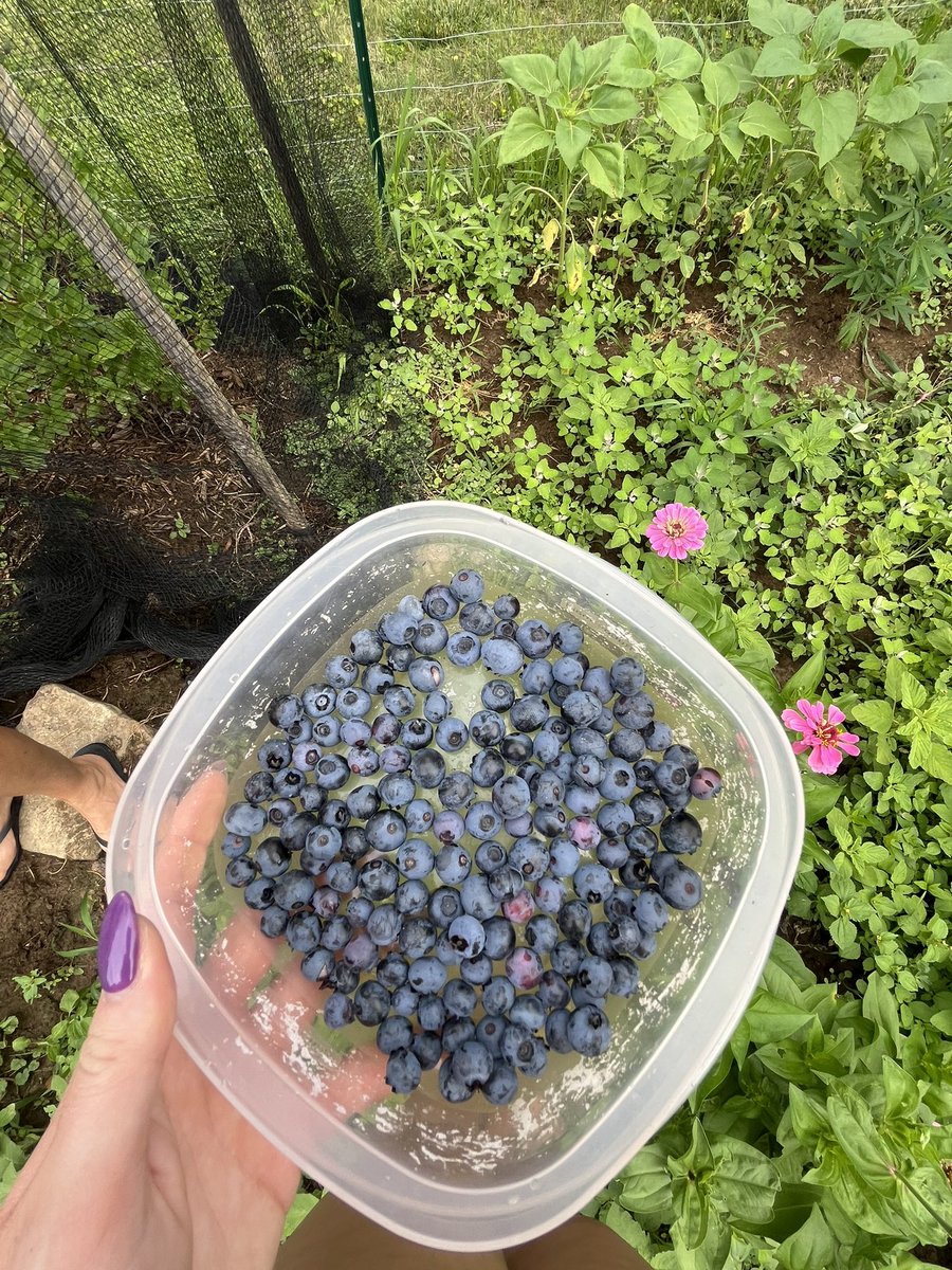 Anna Marie tweet media