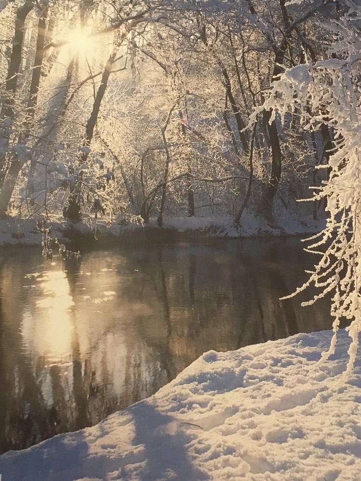 ancilladominii's tweet image. 