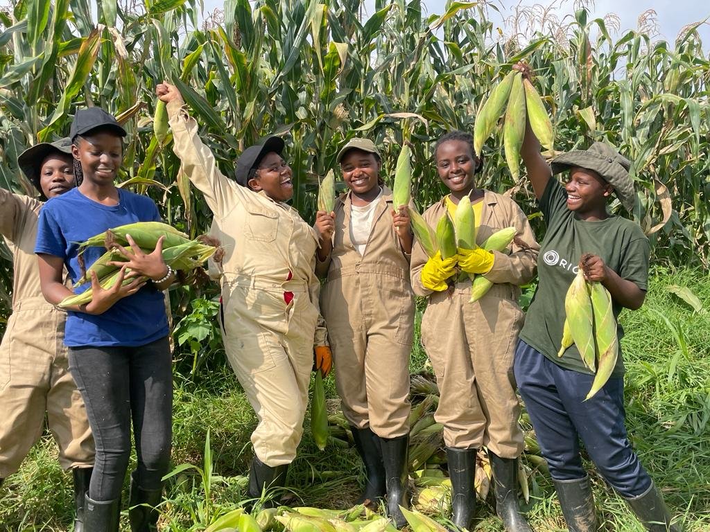 Musanaberara's tweet photo. "Empowering communities through sustainable farming! A dedicated team celebrates a bountiful harvest, proving that hard work, unity, and innovation can yield amazing results. Join the journey towards a greener, healthier future! #SustainableAgriculture #FarmToTable" https://t.co/WsIVm4fMP7