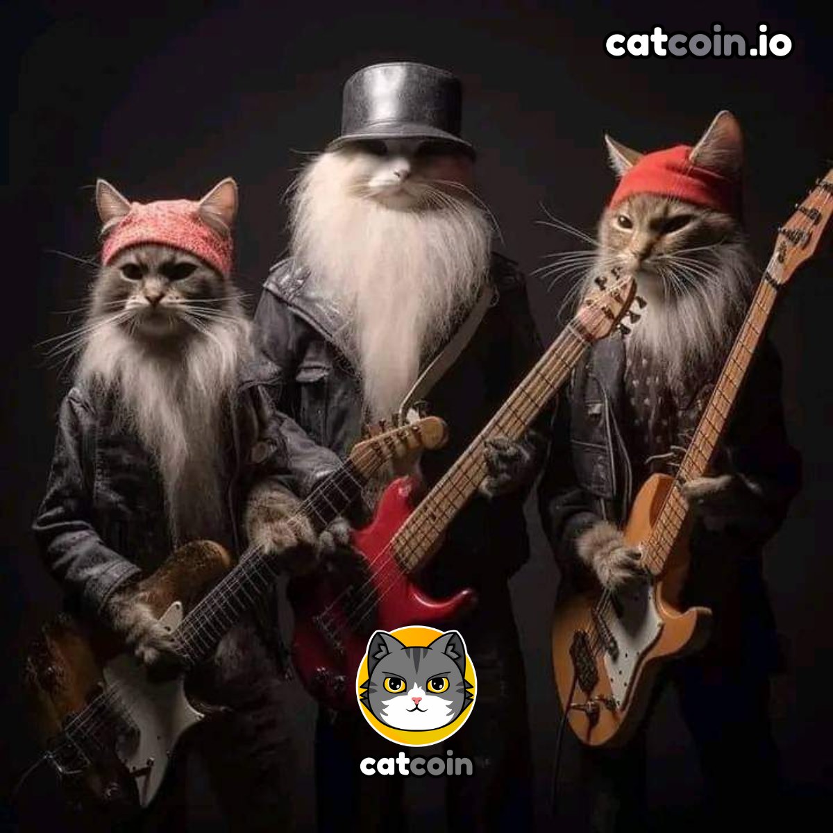 Have a rockin' weekend - $20

• Follow <a href="/officialcatcoin/">Official Catcoin</a>
• Retweet 
• And comment #Catcoin #USDT #giveaway 

48 hours