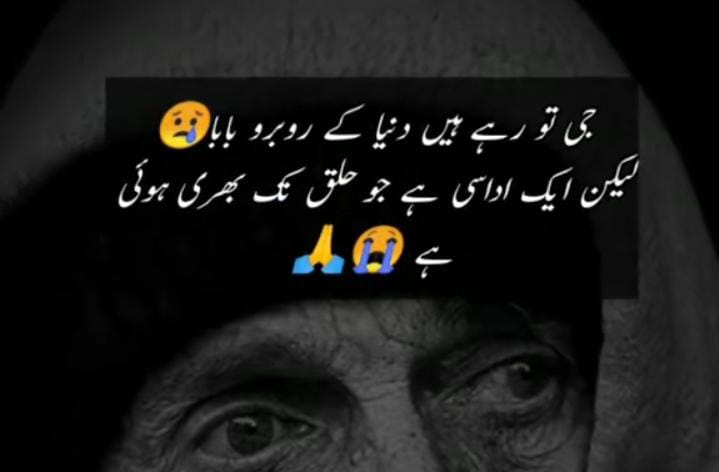 Hijabigirl003's tweet photo. Missssssing #Baba_Jan 😭💔 https://t.co/q7jMSGFQwM
