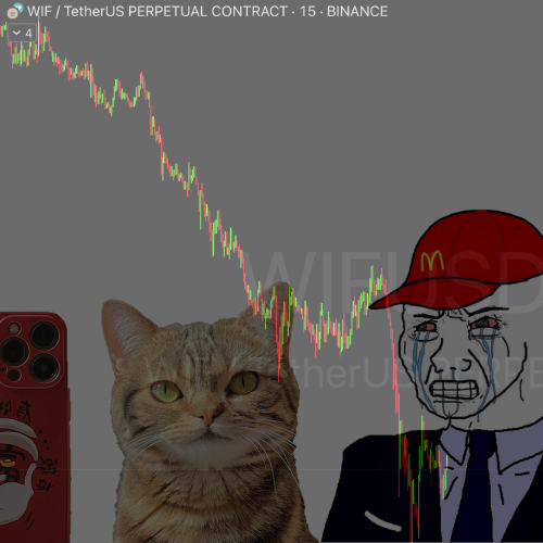 Nat The Nuke Cat | $NAT (@NatTheNukeCat) / Posts / X
