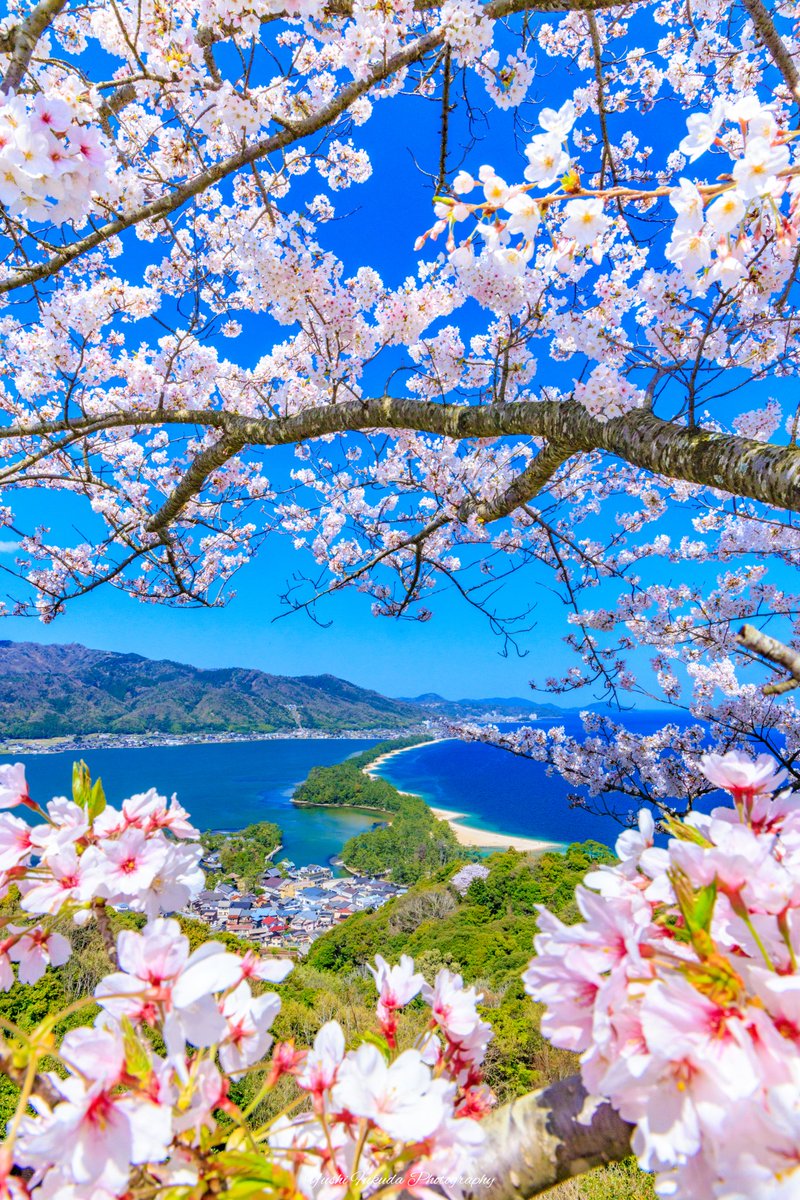 fukuyu0606's tweet image. 乗り遅れましたが上半期の4枚📸

京都を中心に春から初夏を切り取りました✨
下期も楽しみです😊

#2024年自分が選ぶ今年上半期の4枚