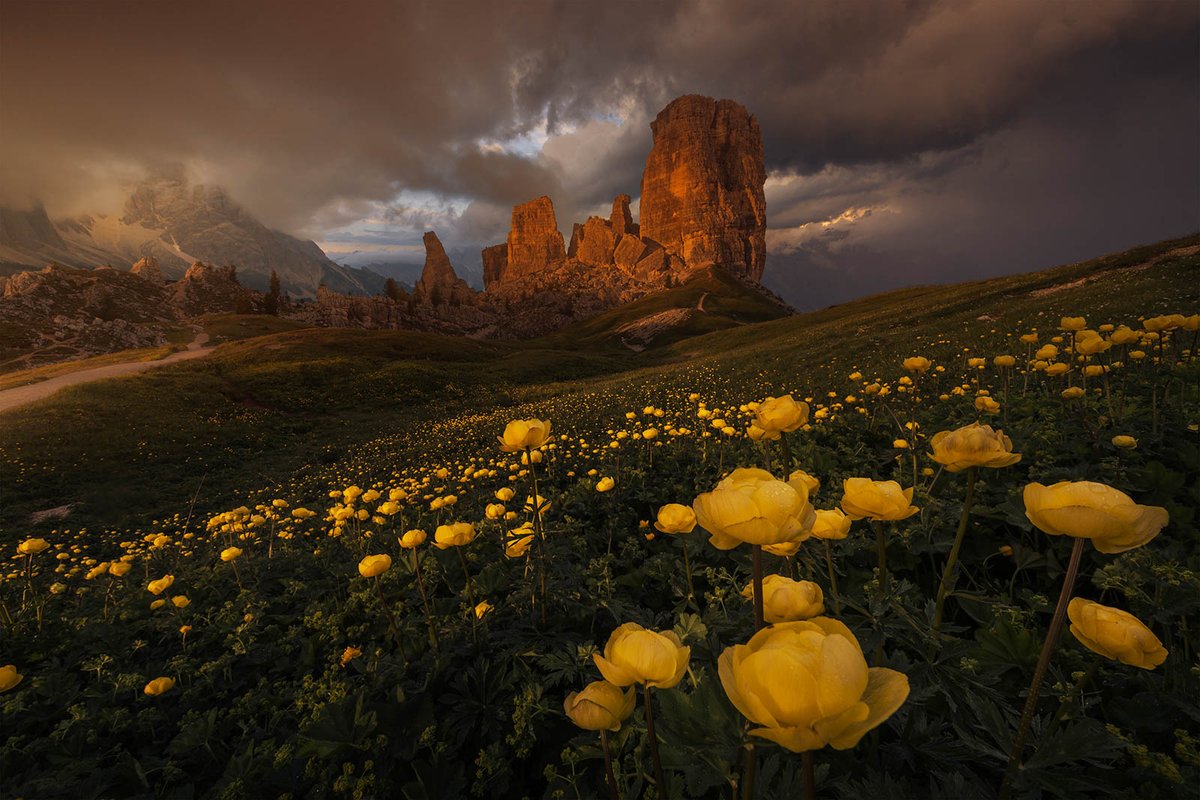 Get the 'Best Places for Photography in the Dolomites' with Leonardo Papèra! 

'A wilderness oasis, a hiker’s paradise, and a landscape photography playground, the Dolomites are a mountain range located in northern Italy...'