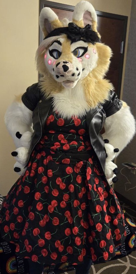 FurlesqueFae's tweet photo. Yesterday was an amazing first day at #Anthrocon2024 https://t.co/qmLgEQpwv5