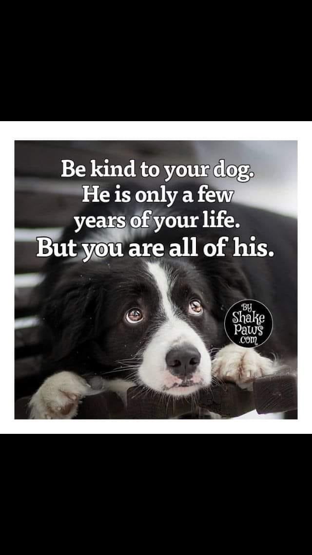 Jim Fink (@jimmybfdeadhead) on Twitter photo 