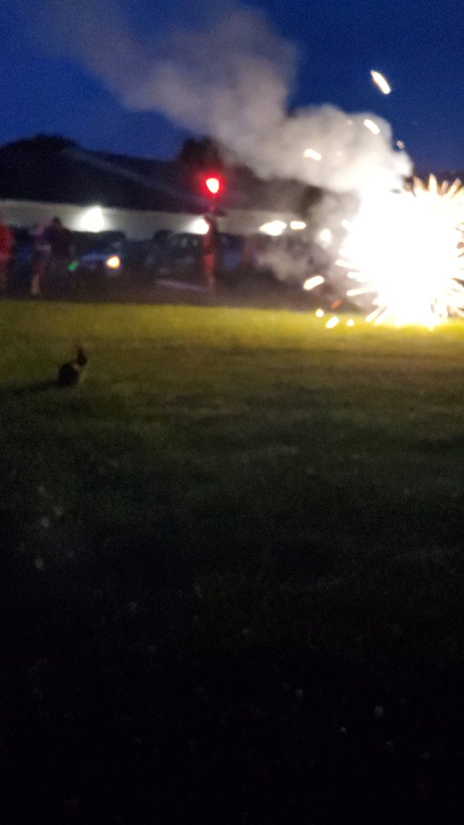 Axelthebigdog's tweet image. The 4th of July is such a beloved holiday that even the local wildlife come out to celebrate 🐰