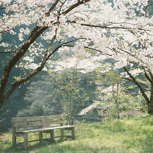 elemmiressoul's tweet photo. so peaceful. https://t.co/mdPsLMFb3c