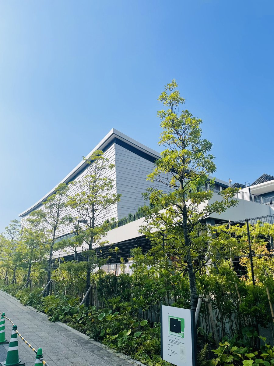 mihitatake's tweet photo. バスケ男子日本代表
国際強化試合　有明アリーナ。
現地で応援。すごい試合でした https://t.co/EupLAbHxbr