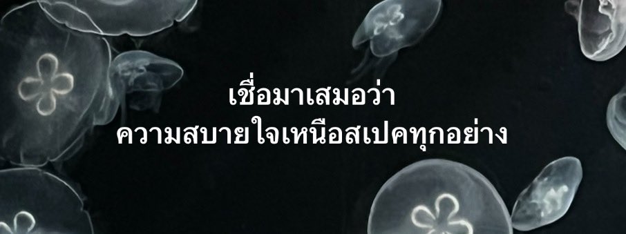 analog tweet media