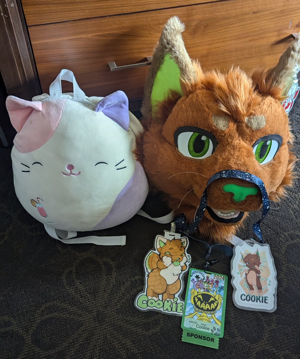 Catboy (@catboy1357) / Posts / X