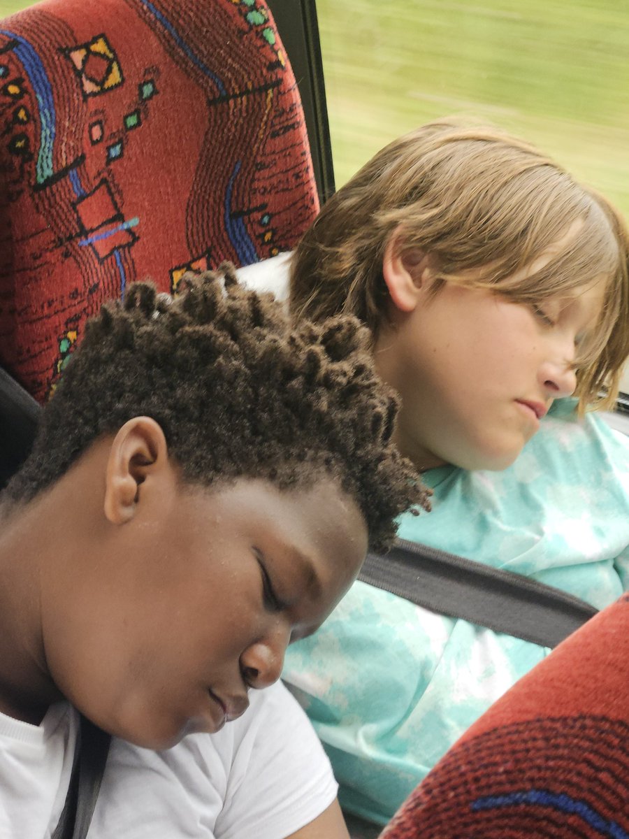 Have you missed these sleeping beauties?!