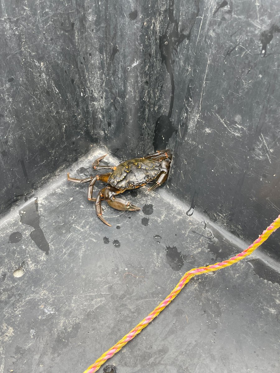 RobertaCollier tweet picture