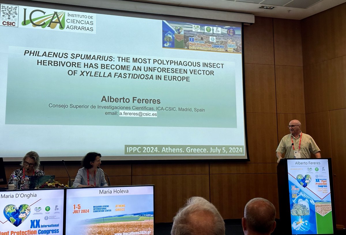 Piotr Trebicki (@piotrtrebicki) on Twitter photo Great talk by Prof Alberto Fereres during the International Plant Protection Congress in Athens. ā¦<a href="/acastiel/">Alberto Fereres</a>ā© ā¦<a href="/VectoresCSIC/">Fereres Lab. Insect Vectors of Plant Pathogens</a>ā© ā¦<a href="/BexylP/">Bexyl Project</a>ā© Great talk by Prof Alberto Fereres during the International Plant Protection Congress in Athens. ā¦<a href="/acastiel/">Alberto Fereres</a>ā© ā¦<a href="/VectoresCSIC/">Fereres Lab. Insect Vectors of Plant Pathogens</a>ā© ā¦<a href="/BexylP/">Bexyl Project</a>ā©