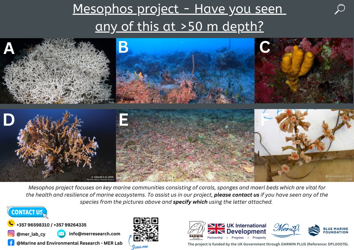 Marine and Environmental Research (MER) Lab tweet media