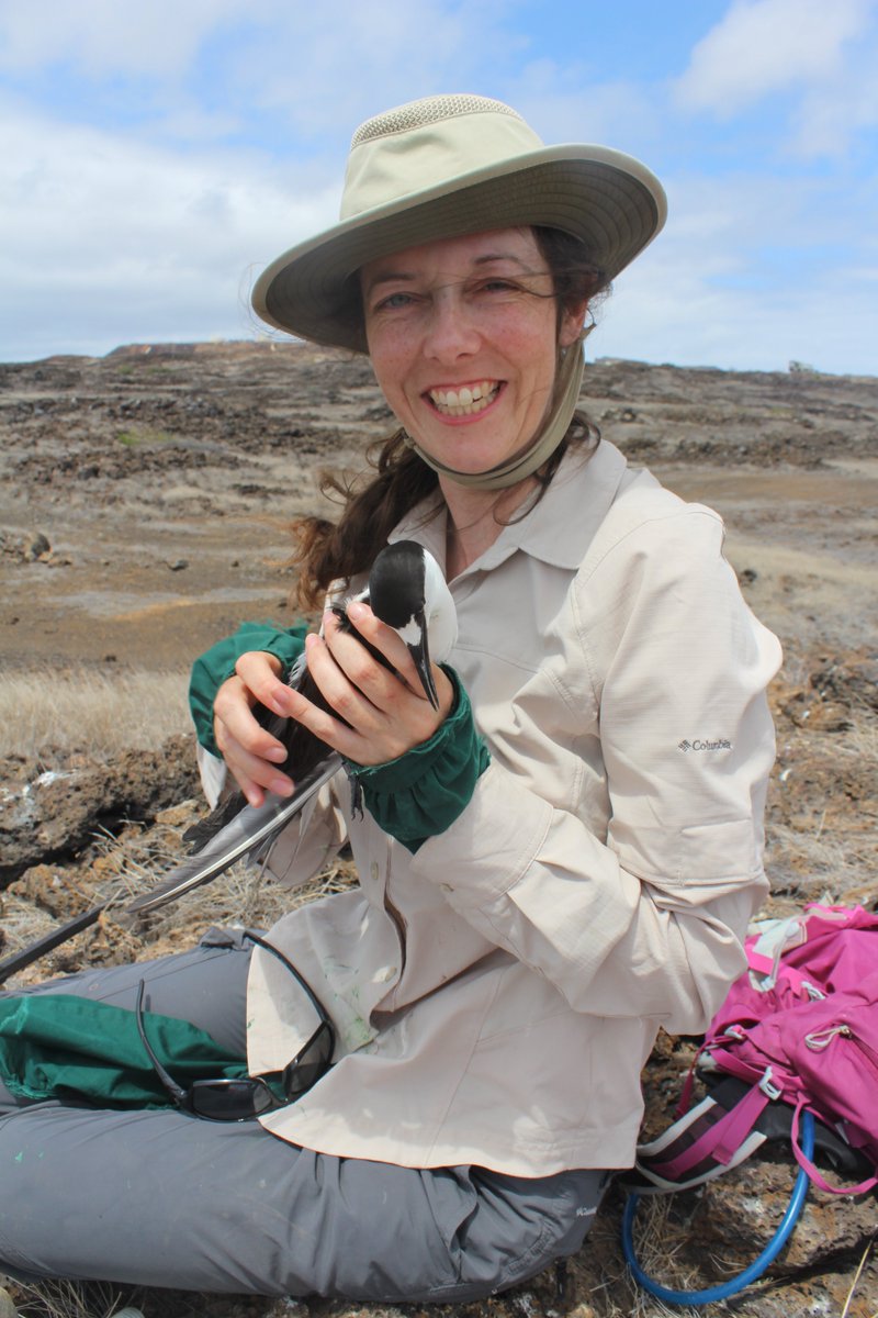 Hartpury University Animal and Agriculture (@hartpuryunianag) on Twitter photo #worldseabirdday researcher <a href="/garrettlucy1/">Dr Lucy Garrett</a> shares why they are amazing study spp! "nothing beats working in a seabird colony, the intense smell, the noise you can barely hear someone speak <1m away, the sharp pain on your head as you get divebombed, and the awe of how far travel!" #worldseabirdday researcher <a href="/garrettlucy1/">Dr Lucy Garrett</a> shares why they are amazing study spp! "nothing beats working in a seabird colony, the intense smell, the noise you can barely hear someone speak <1m away, the sharp pain on your head as you get divebombed, and the awe of how far travel!"