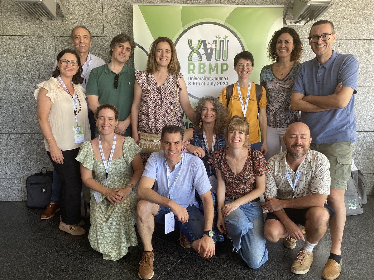 Vicent Arbona tweet media