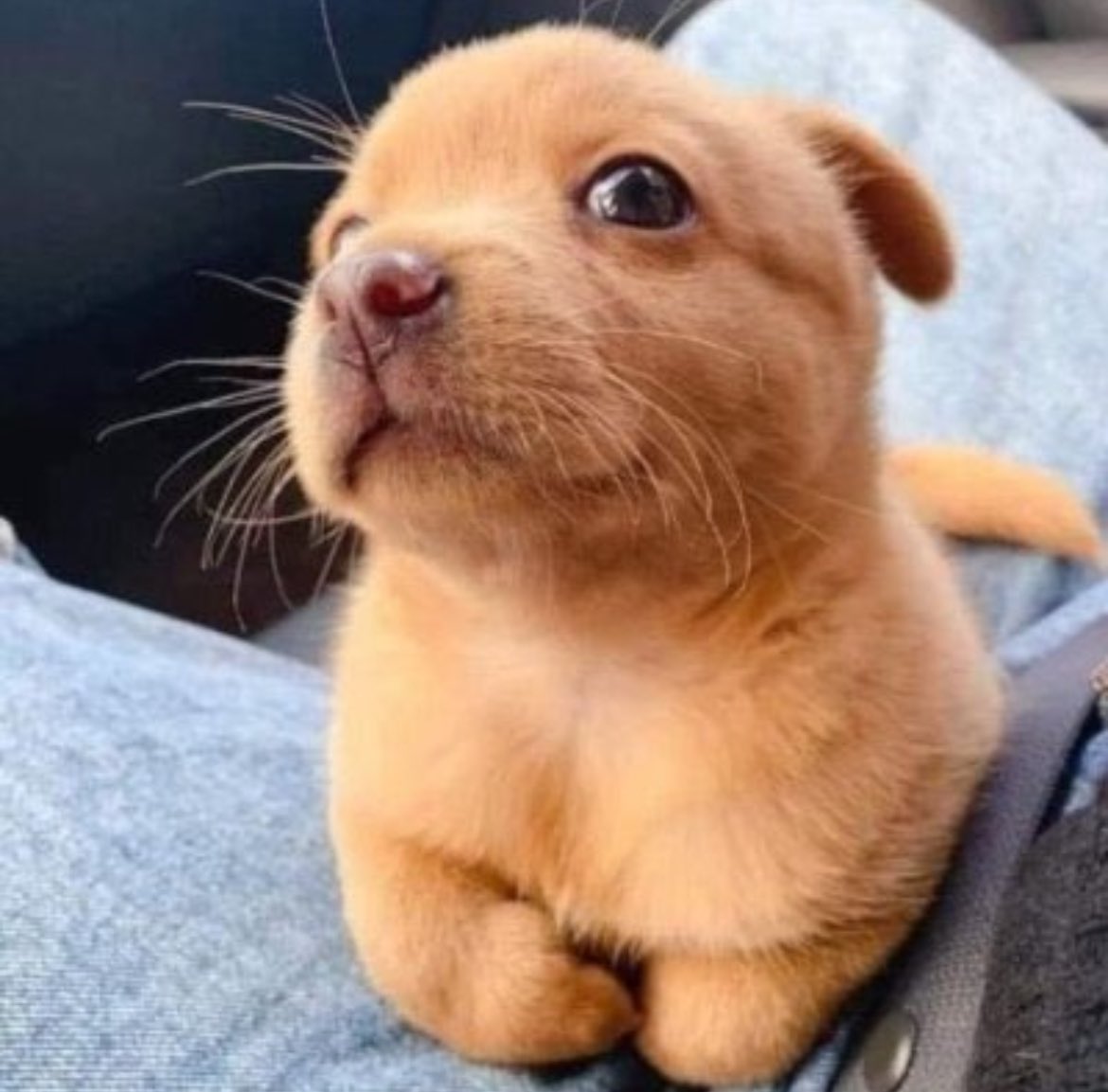 <a href="/kenwgmi/">ken</a> You are ready know the drill $Dilly