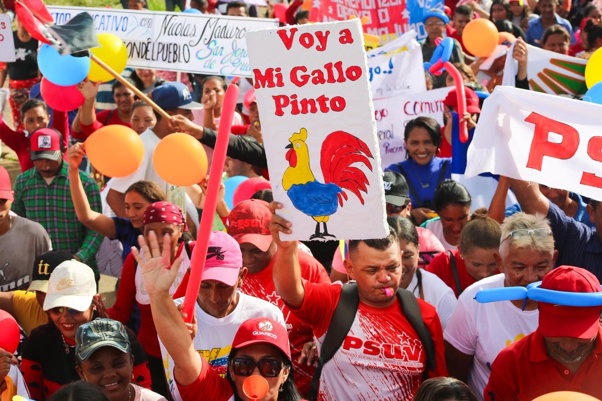 En Guayabal Guàrico gana la revolución bolivariana con nuestro Gallo pinto <a href="/NicolasMaduro/">Nicolás Maduro</a> .