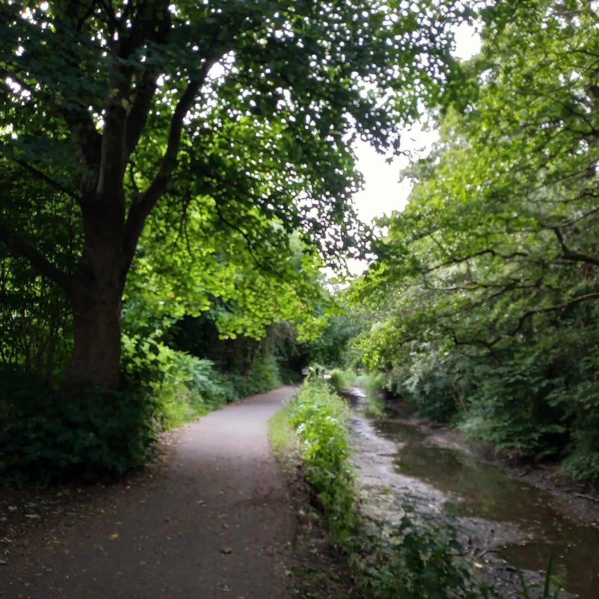 A nice Welsh #slowway yesterday RisNew(1) from Newport to Risca. Mostly along the Brecon&amp;Monmouth canal. Very pleasant walk.