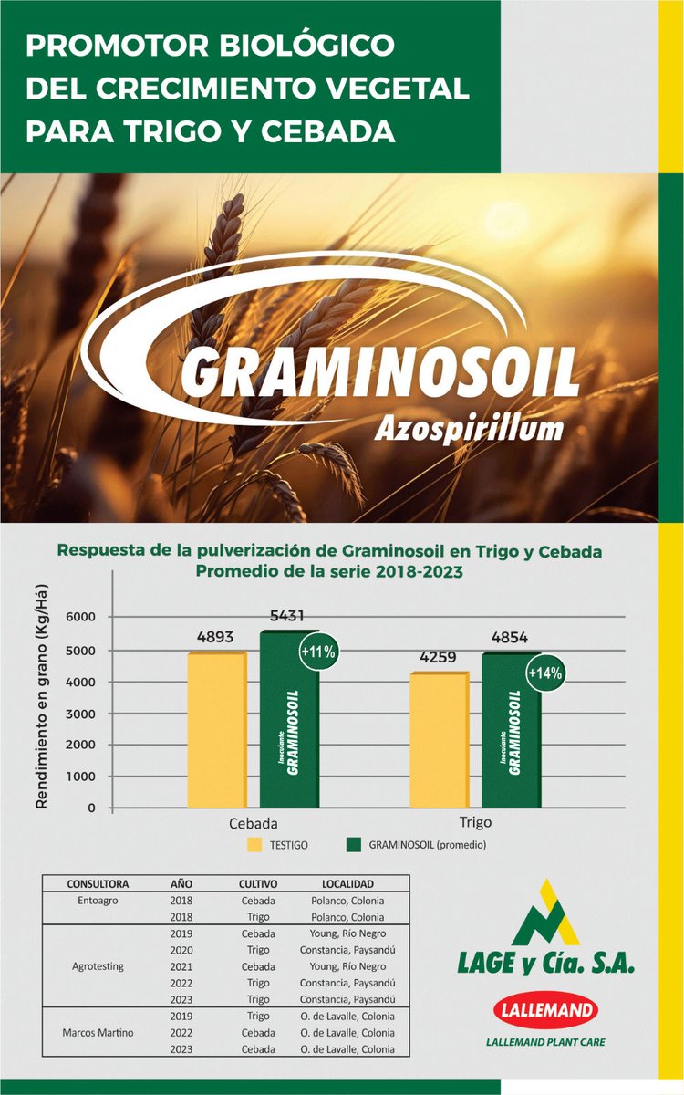 Respuesta a la pulverización de GRAMINOSOIL en Trigo y Cebada en la serie 2018-2023. Aplicado en macollaje. ¡Excelentes resultados!