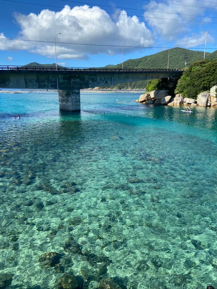wuui_oo's tweet photo. 高知の夏、感じたい https://t.co/4A6ucD4ohR