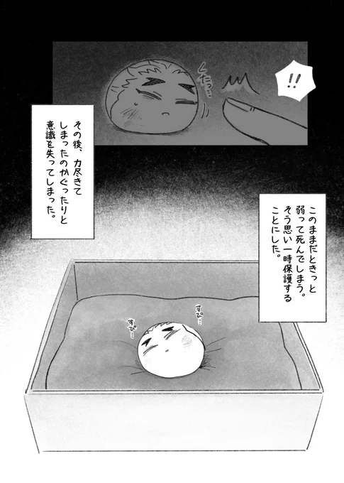 兄上が野生のセンヂュまんを保護する話③
指がふやけた 