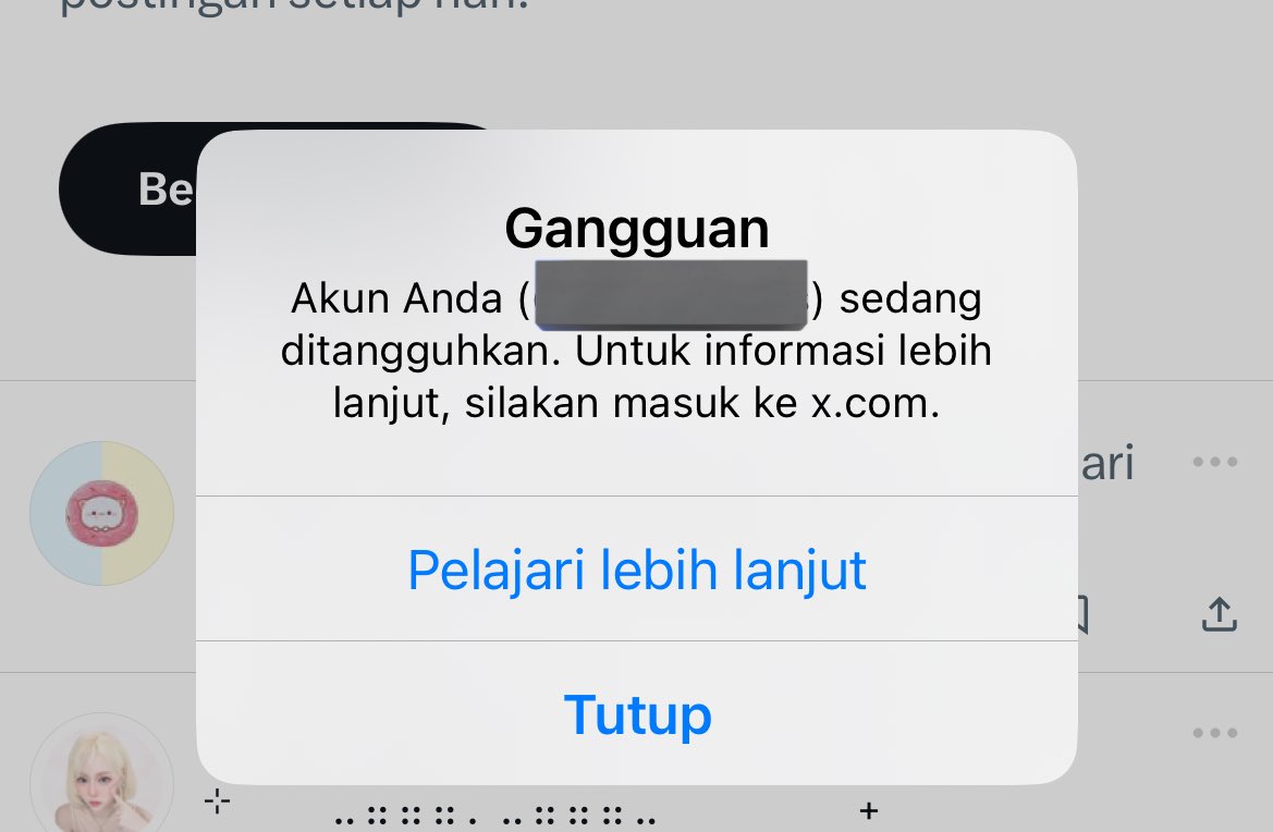 𝐗𝐂 apis loyo tweet media