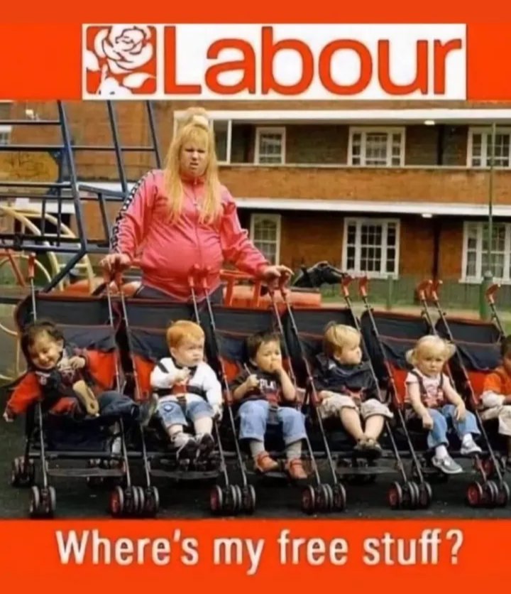 Neil Harris tweet media