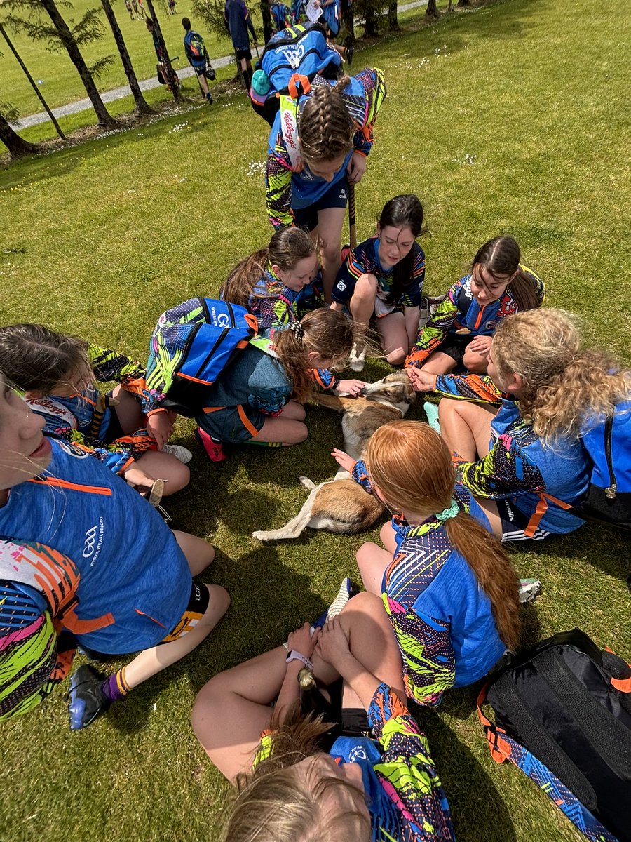 anais_curran's tweet photo. @AdamstownGAA Cúl Camp 2024🙌🏻

Brilliant week, lots of kids out having fun &amp; making new friends. What it’s all about😎

Our skills winners were presented with a certificate today, they will both represent Adamstown camp in the Skills Day later on in summer🤩

@wexgaacoaching https://t.co/DlasjhIYIX