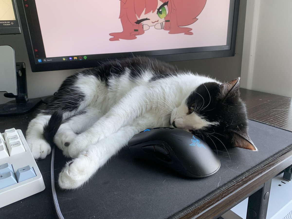 lolfruiti's tweet photo. my little commission helper 💕 https://t.co/S3Tc7SkmOu