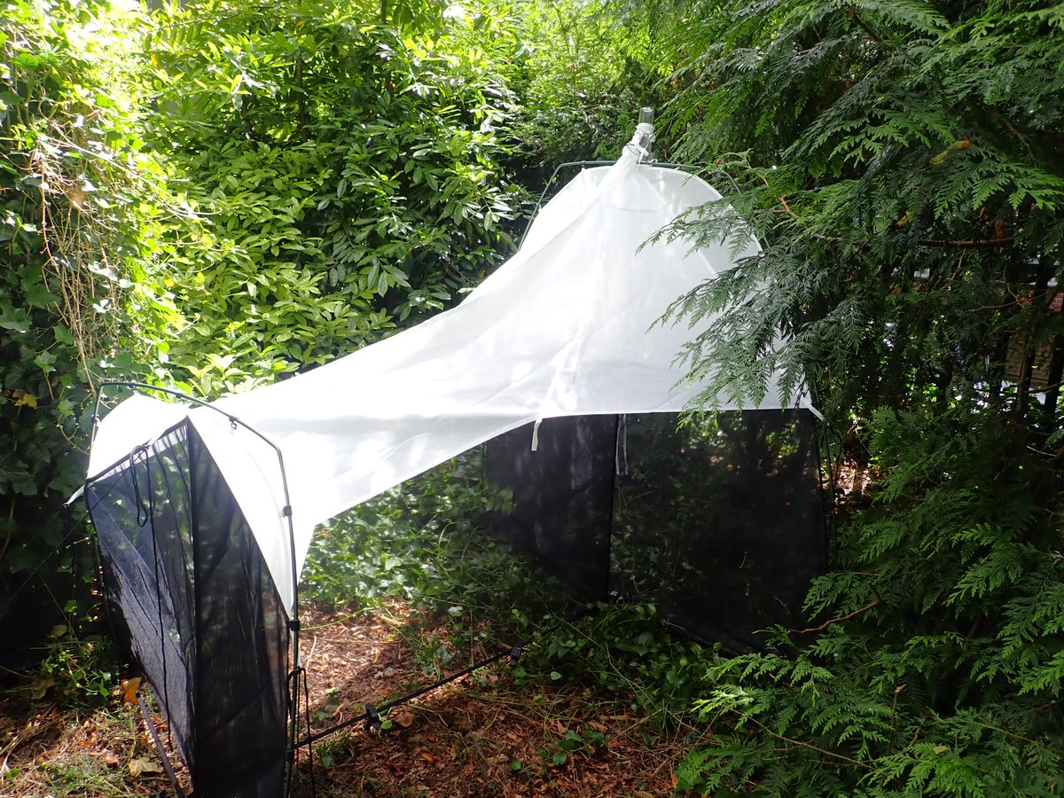 Justin Gerlach (@jstgerlach) on Twitter photo First day of monitoring flying insects in <a href="/Peterhouse_Cam/">Peterhouse Cambridge</a> gardens for <a href="/BIOSCAN_UK/">BIOSCAN in the UK</a>. I'll be running this once a month for the next 5 years. This will provide useful data on diversity in college and how populations are changing. First day of monitoring flying insects in <a href="/Peterhouse_Cam/">Peterhouse Cambridge</a> gardens for <a href="/BIOSCAN_UK/">BIOSCAN in the UK</a>. I'll be running this once a month for the next 5 years. This will provide useful data on diversity in college and how populations are changing.