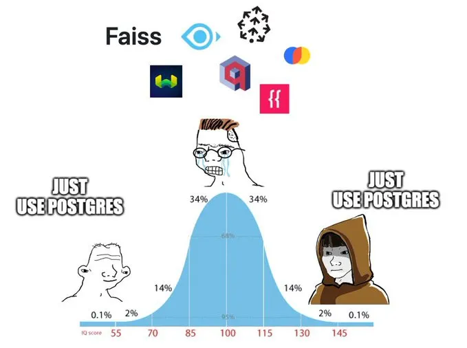 database_comedy's tweet image. #databasememes Series 
#10 Just use #Postgres (Credits @chongzluong )
#pgvector