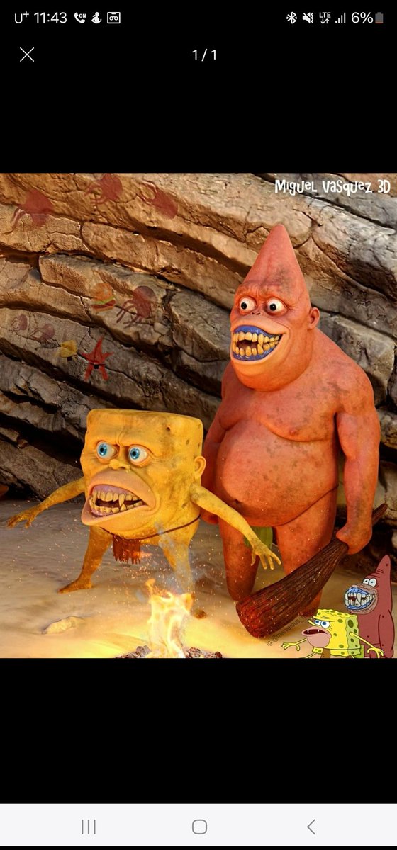 강아지가 허락도 받지 않구 셀카를 올렸다 음