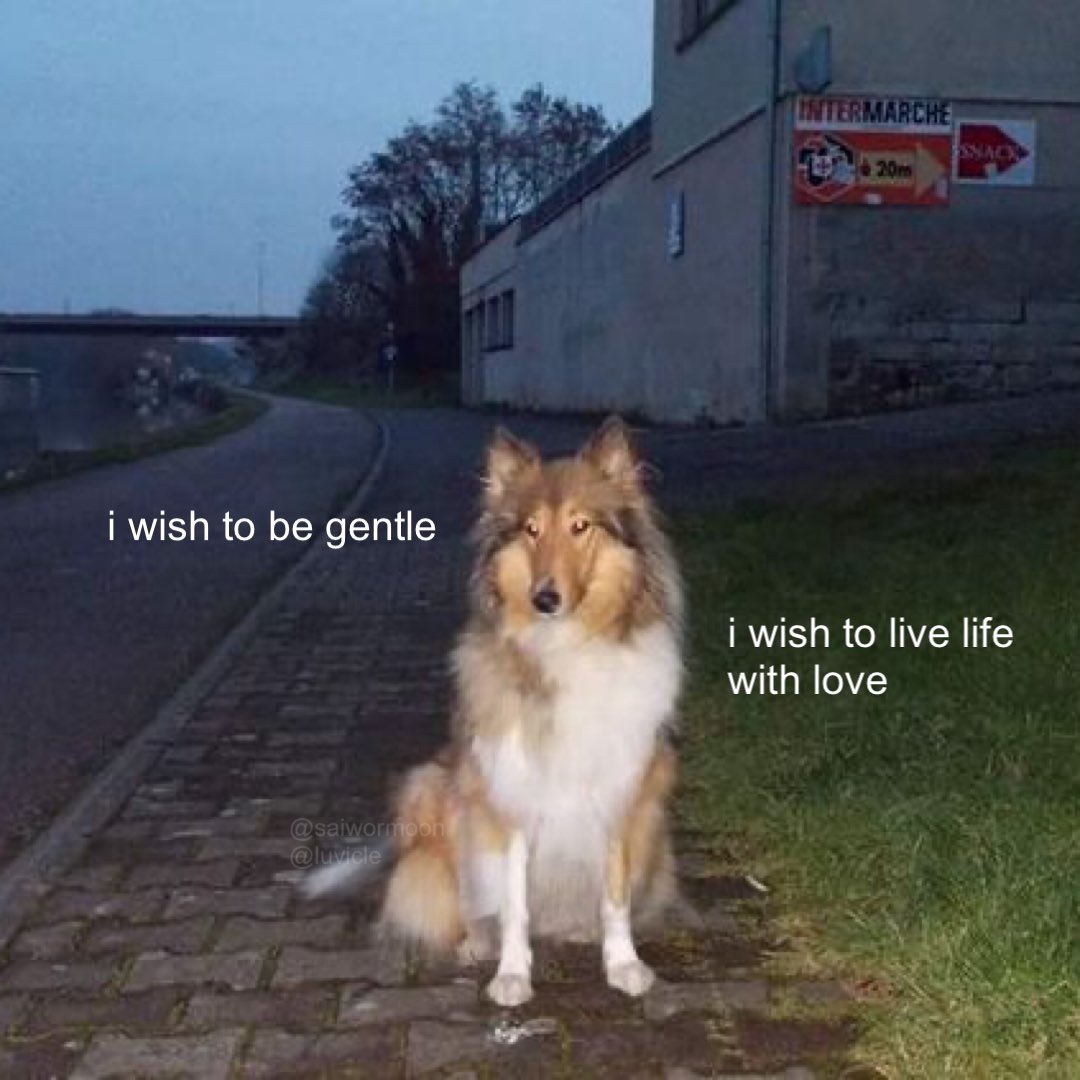 fatalplants's tweet image. 