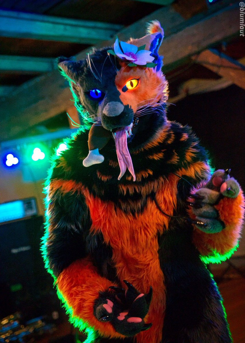 🐕: ReveR
✂️: Arvins Lair 
©️ CC-BY-NC-ND

#furry #fursuit #photography