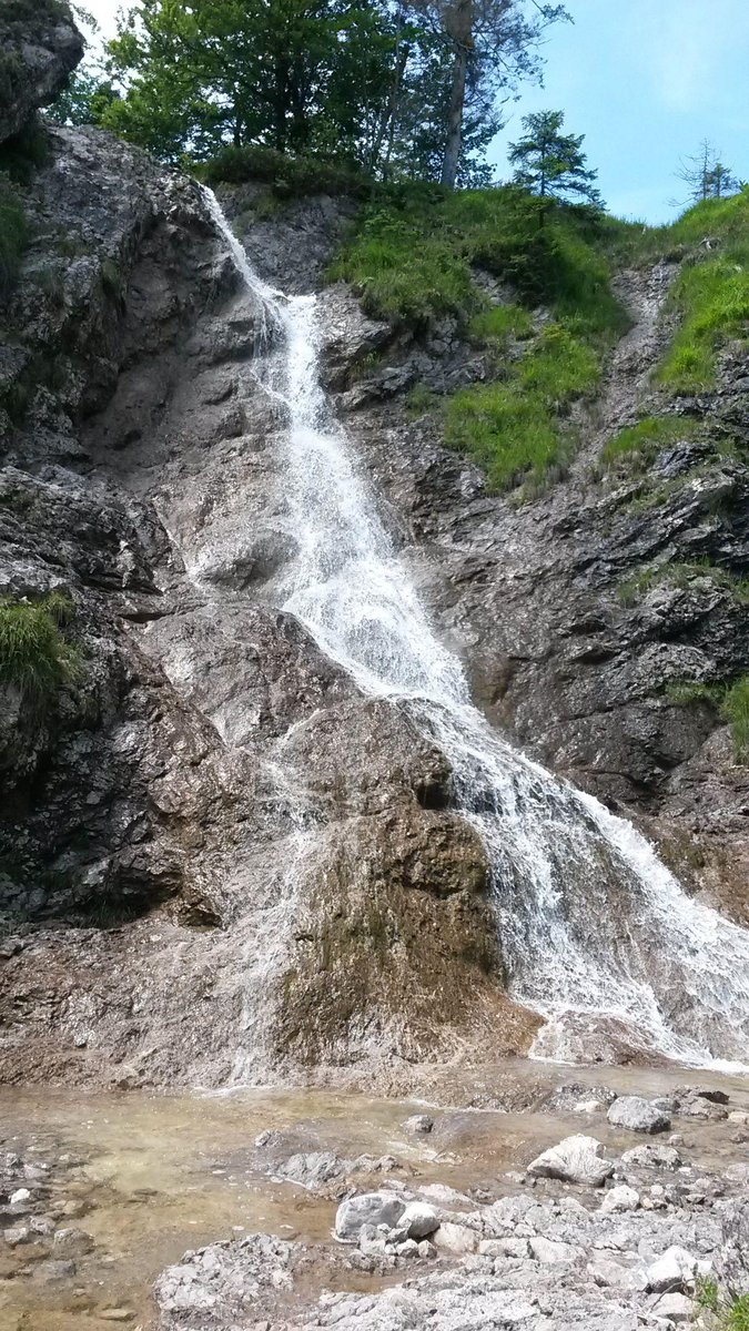 Wanderung durch die Rappinschlucht zur Staffelalm 1320m mit Blumenpracht und gutem Kuchen, 620Hm 15km 5h50 von Jachenau