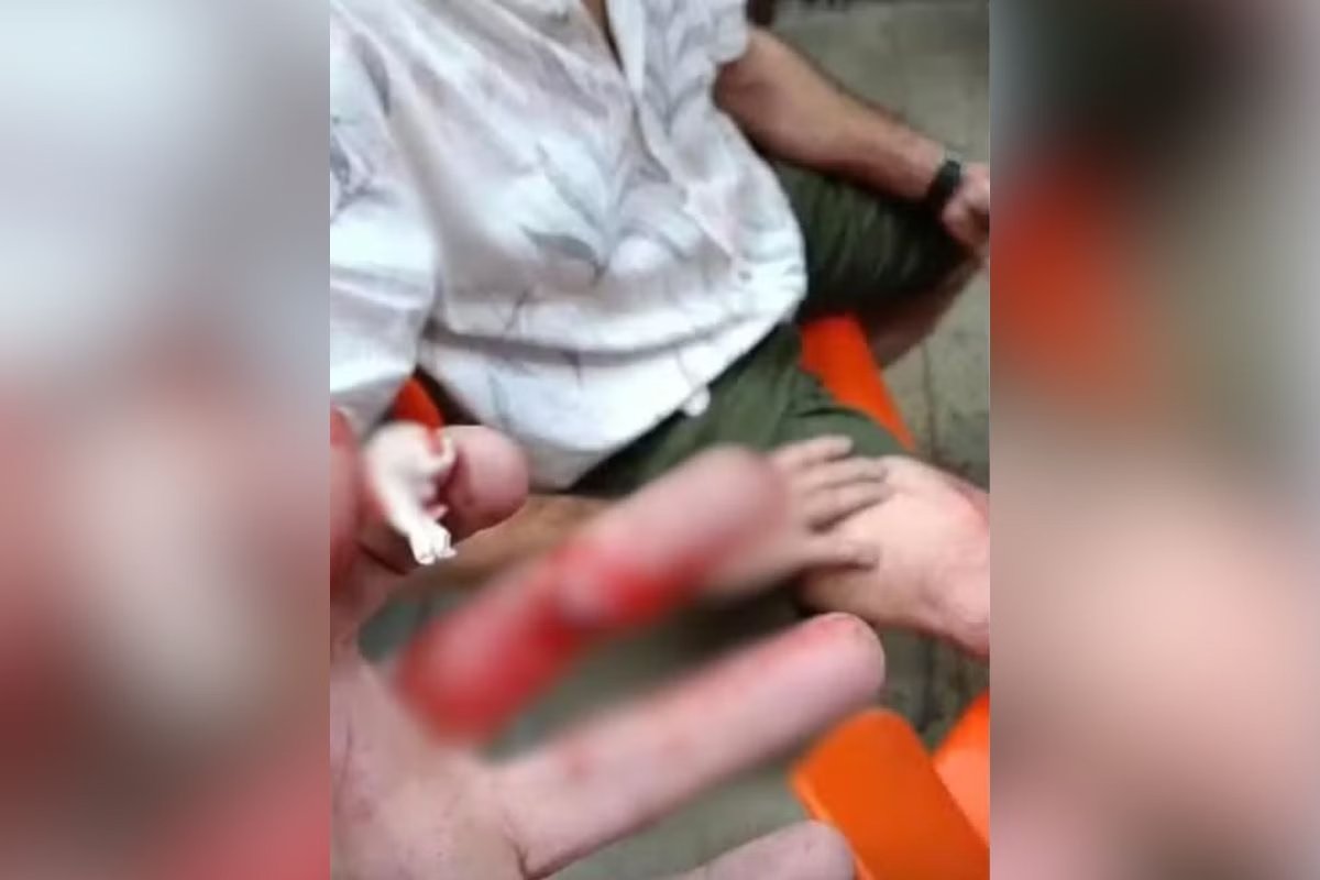 Metrópoles tweet media