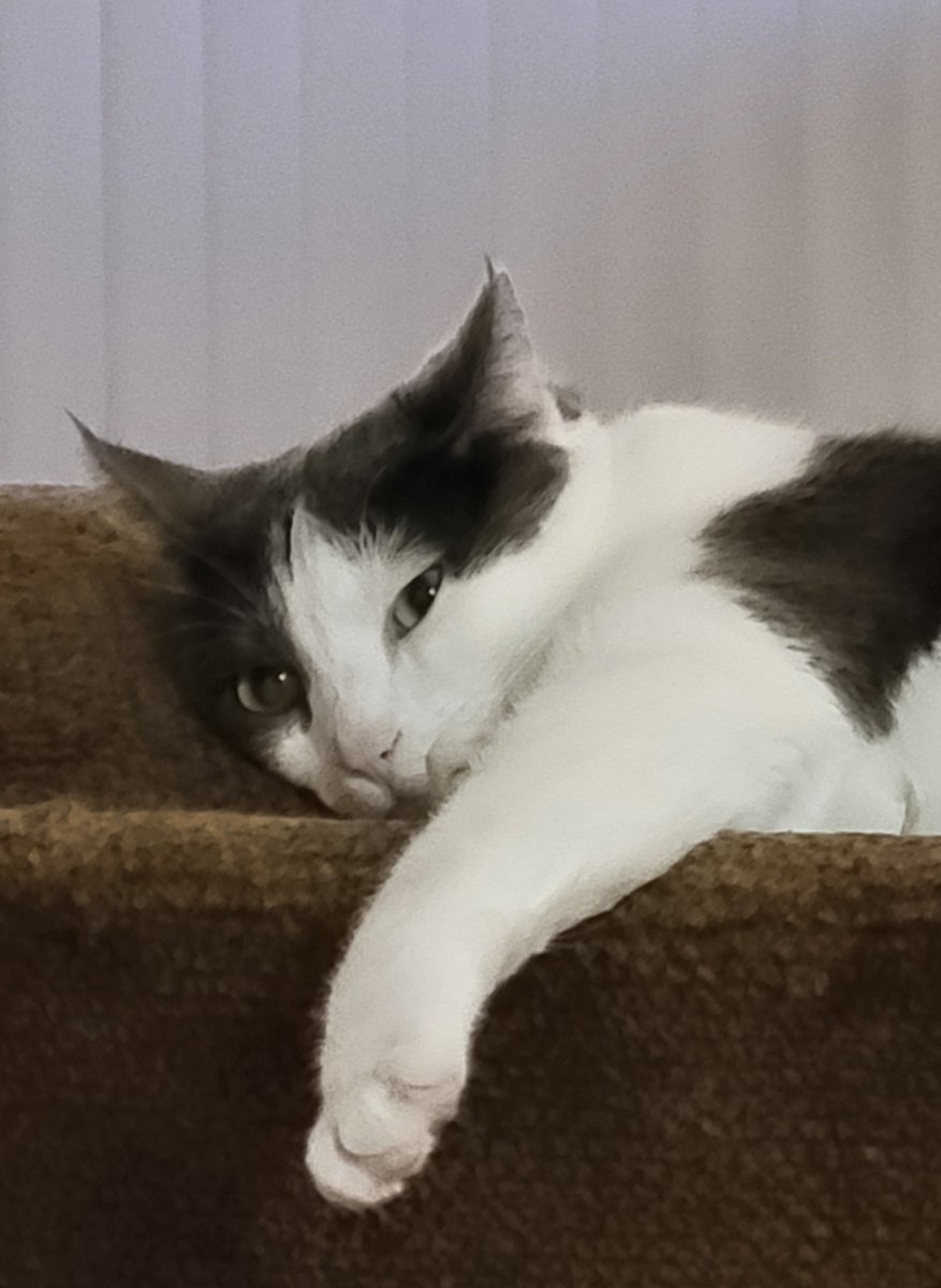 SeeingTwo's tweet image. Me;  "I'm going to go do some fun stuff over the long 4th of July weekend!!"
Reality.....