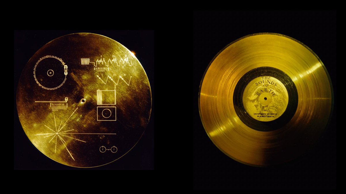 ProjectCETI's tweet photo. Did you know that whale songs were launched into space?🐋🛰️🚀
📸: @NASA
#CETI #whalesongs #space #NASA #interstellarspace #greetingsfromearth #interspeciescommunication #voyager https://t.co/l5sGPMgCne