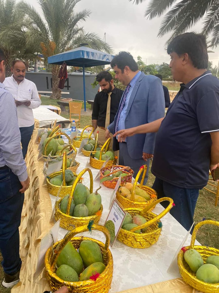 Kabool_khatian's tweet photo. At mango festival karachi today organised by Vc tando jam agricultural university mr Fateh Marri and professor Ismial Kumbar. Great initiative. https://t.co/RjWiuA4Ots