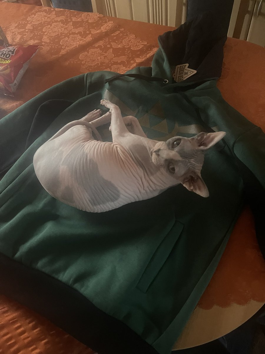Da_kun's tweet photo. Mein Haustier findet den Hoody schon mal gut! Wie beruhigend xD 🤣 https://t.co/2L08VOj1Yc