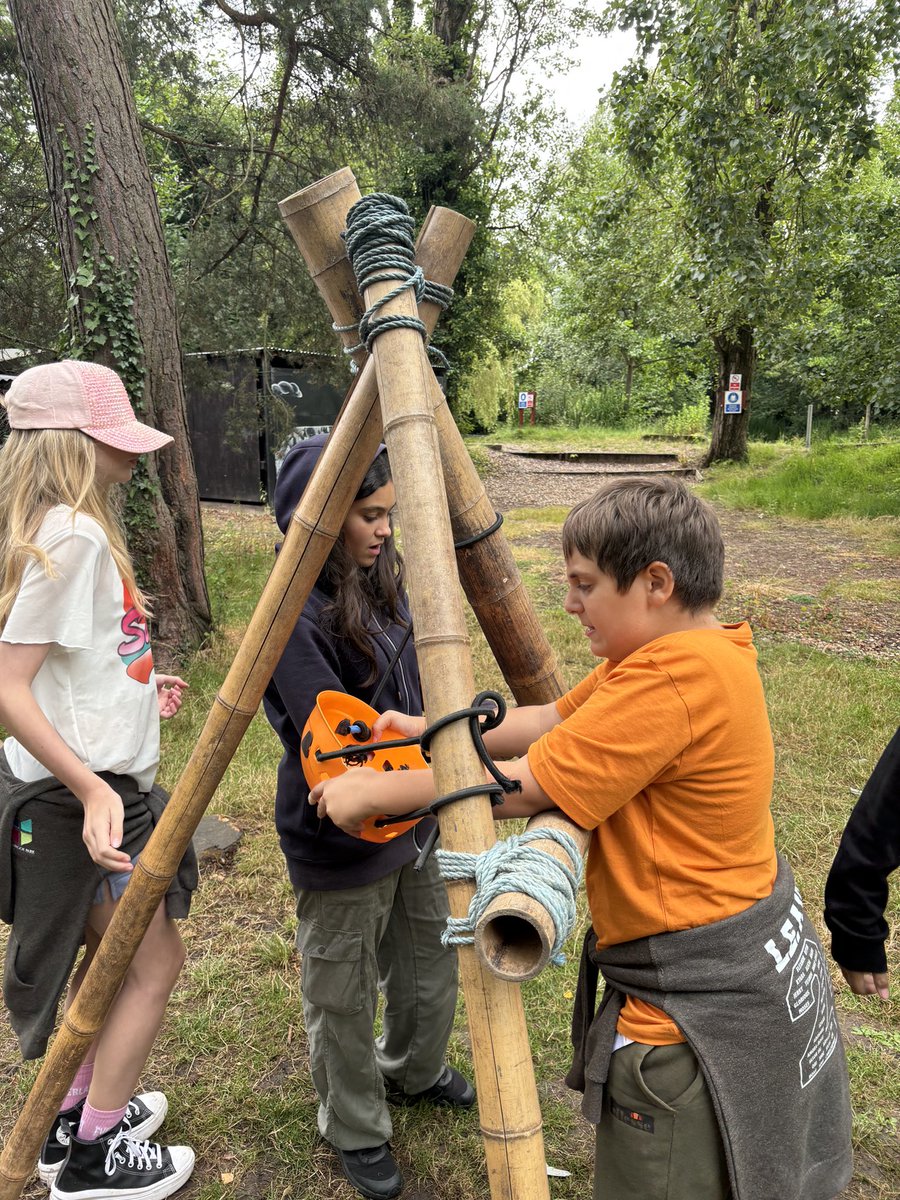 MBPSYear6 tweet media